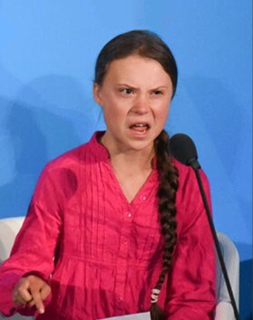 Greta Thunberg how dare you